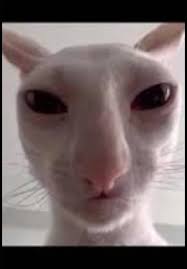 avatar da Fernanda